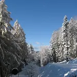 Отель Zarja 3*
