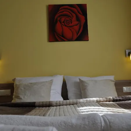 Zarja 3* Hocko Pohorje