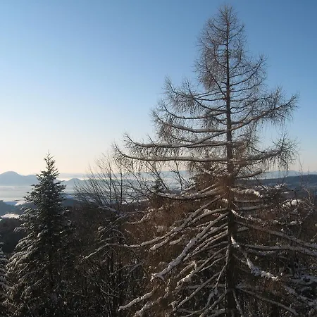 Zarja Hotel Hočko Pohorje