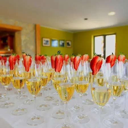 Zarja Hočko Pohorje