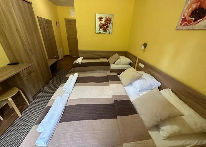 Zarja Hočko Pohorje